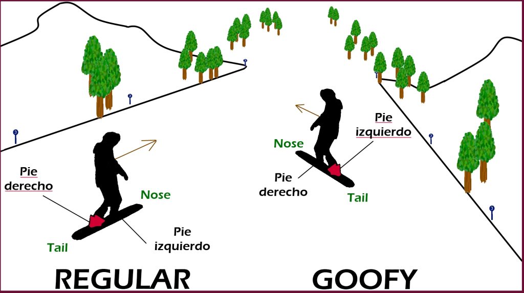 goofy o regular snow