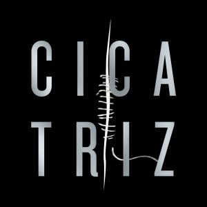 libro cicatriz de Juan Gomez Jurado