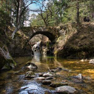 portada puente del paular
