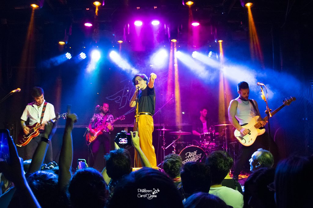 arde bogota los perros