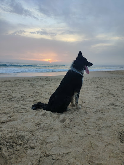 Rayo en la playa de conil de la frontera