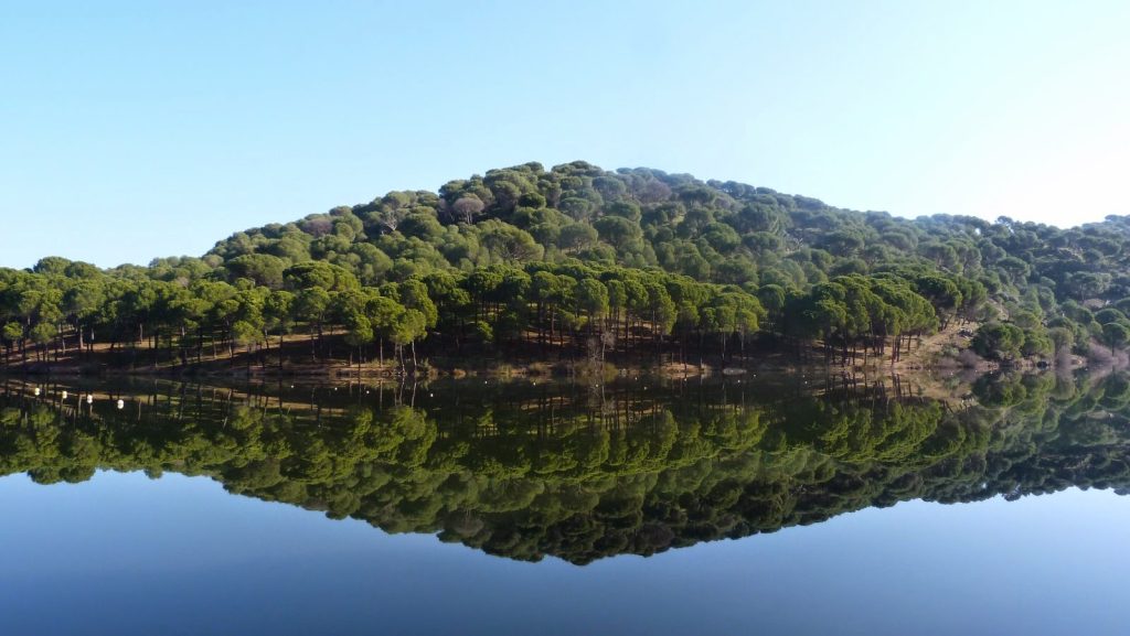 embalse de picadas