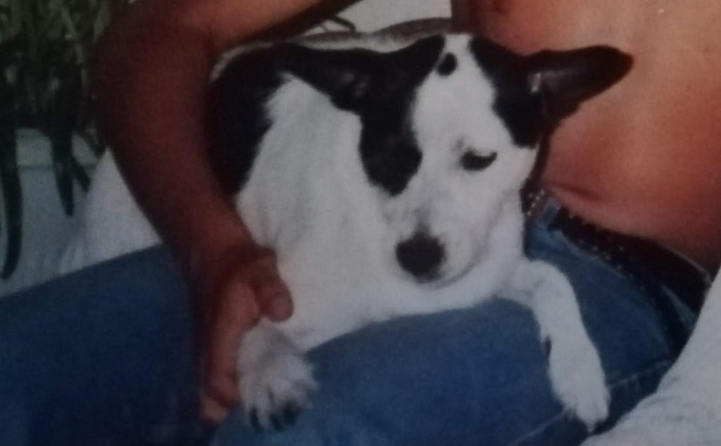 abuelo Ambrosio y mi perro Haspy