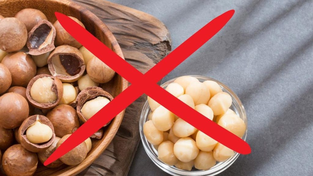 nueces de macadamia tachadas en rojo