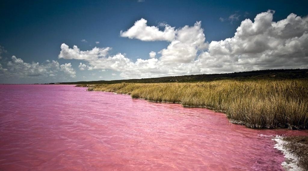 lago-rosa-senegal-horizontal