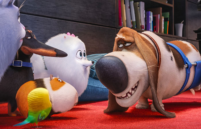 personajes pelicula mascotas