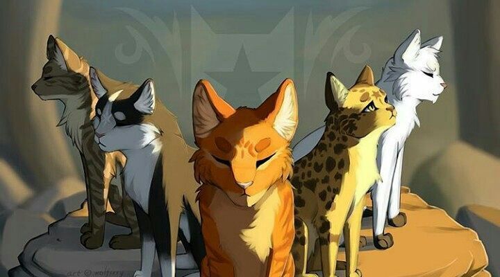 warrior cats imagen de 5 gatos