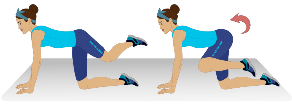 movilidad de cadera portada rectangular